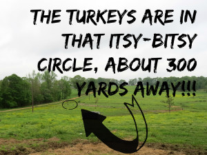 Turkeys 300 yards
