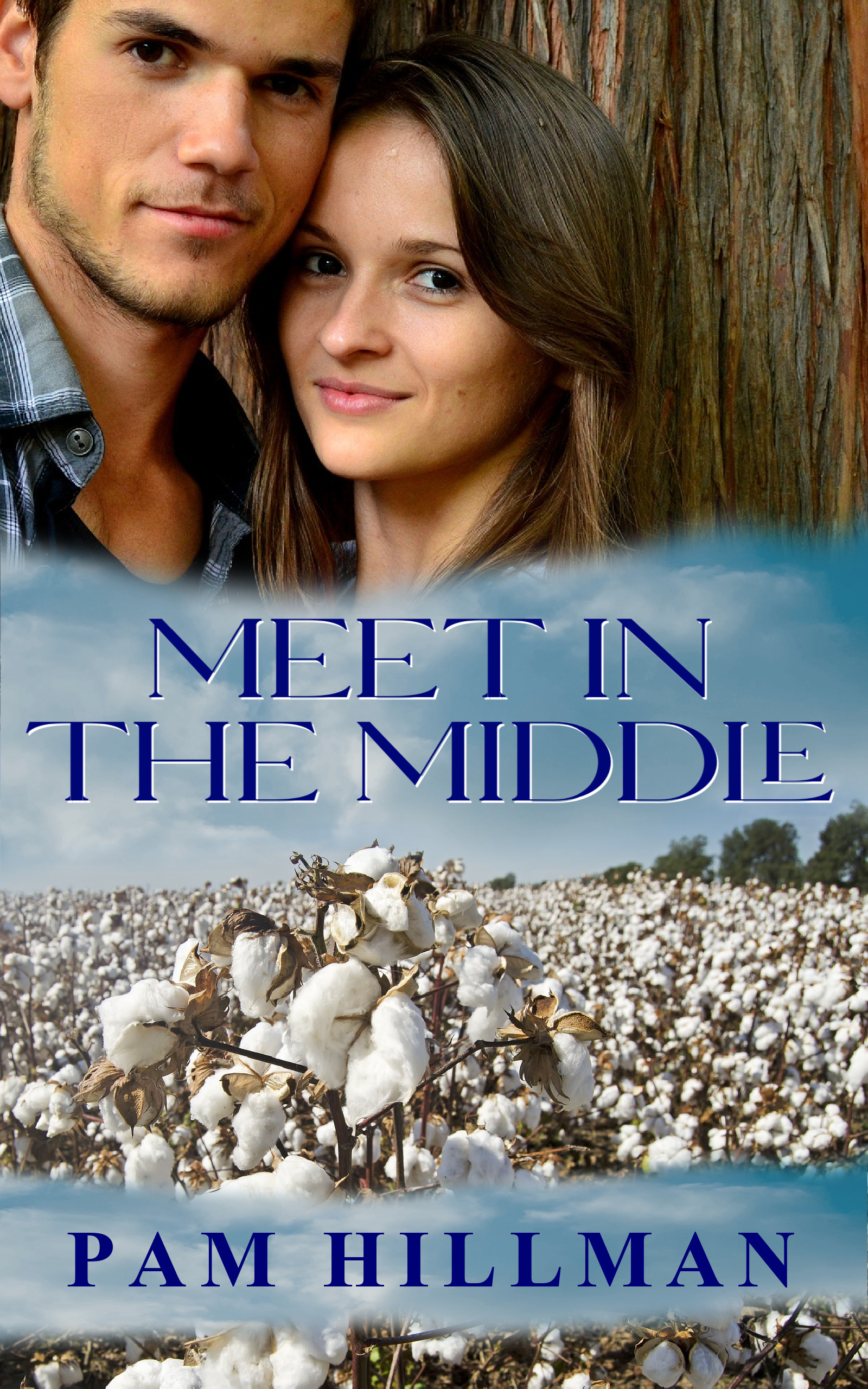 Meet in the Middle